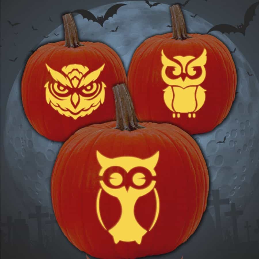 Owl Pumpkin Carving Templates Free Printable