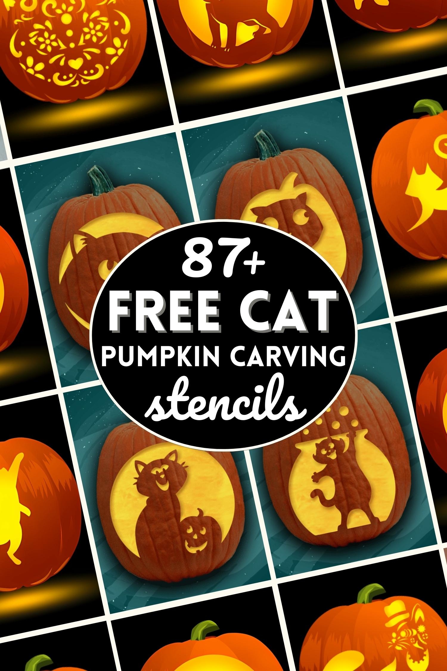 87 Free Cat Pumpkin Carving Stencils The Ultimate List 