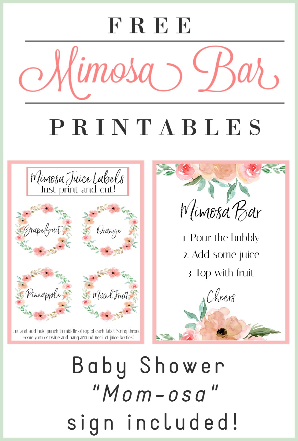 DIY Mimosa Bar With Free Printables Alysea Vega DIY Mimosa Bar With Free Printables Alysea Vega