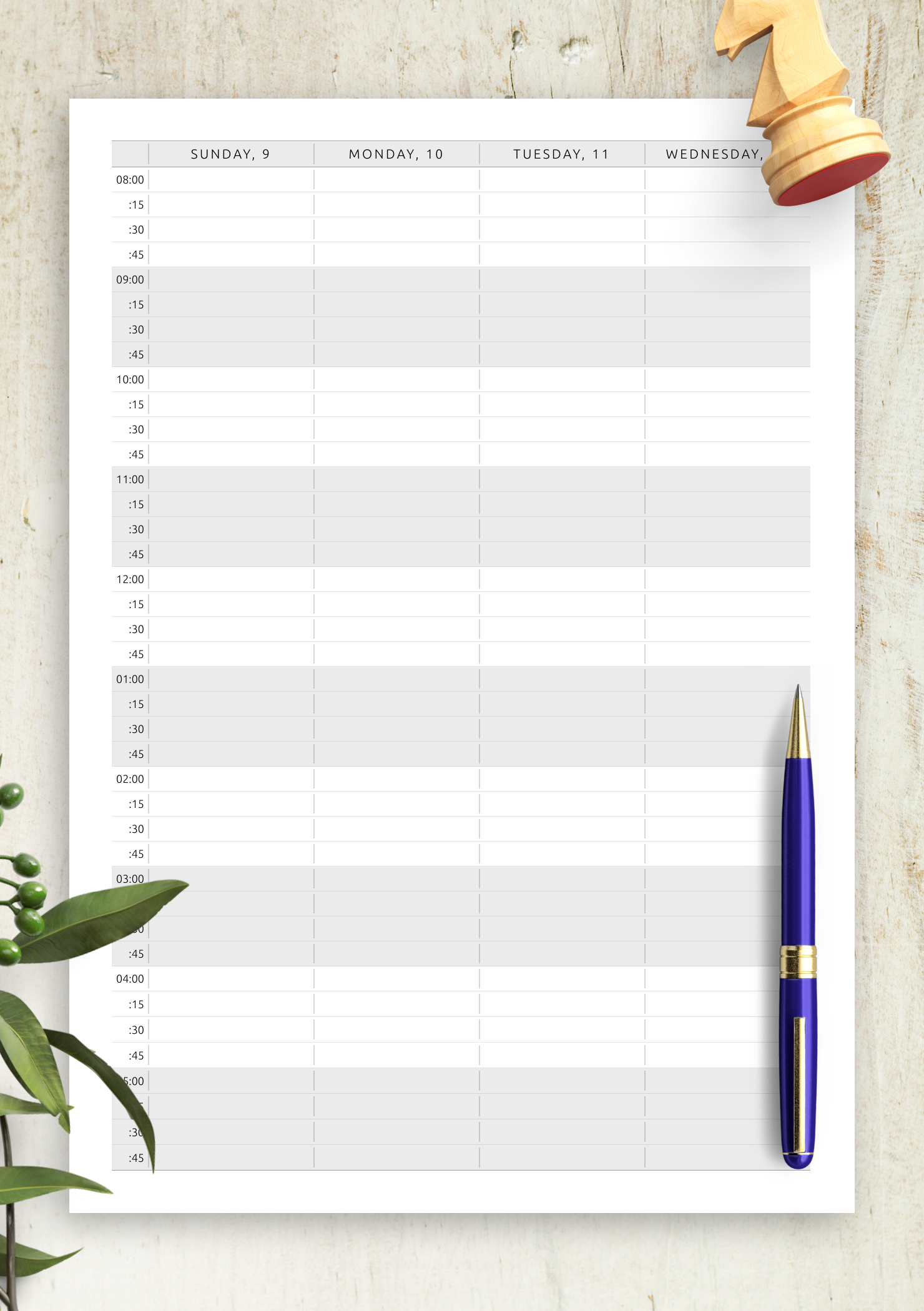 Printable Appointment Schedule Template