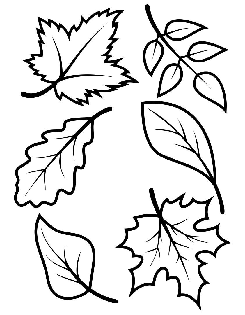 Printable Autumn Leaf Templates Printable Autumn Leaf Templates