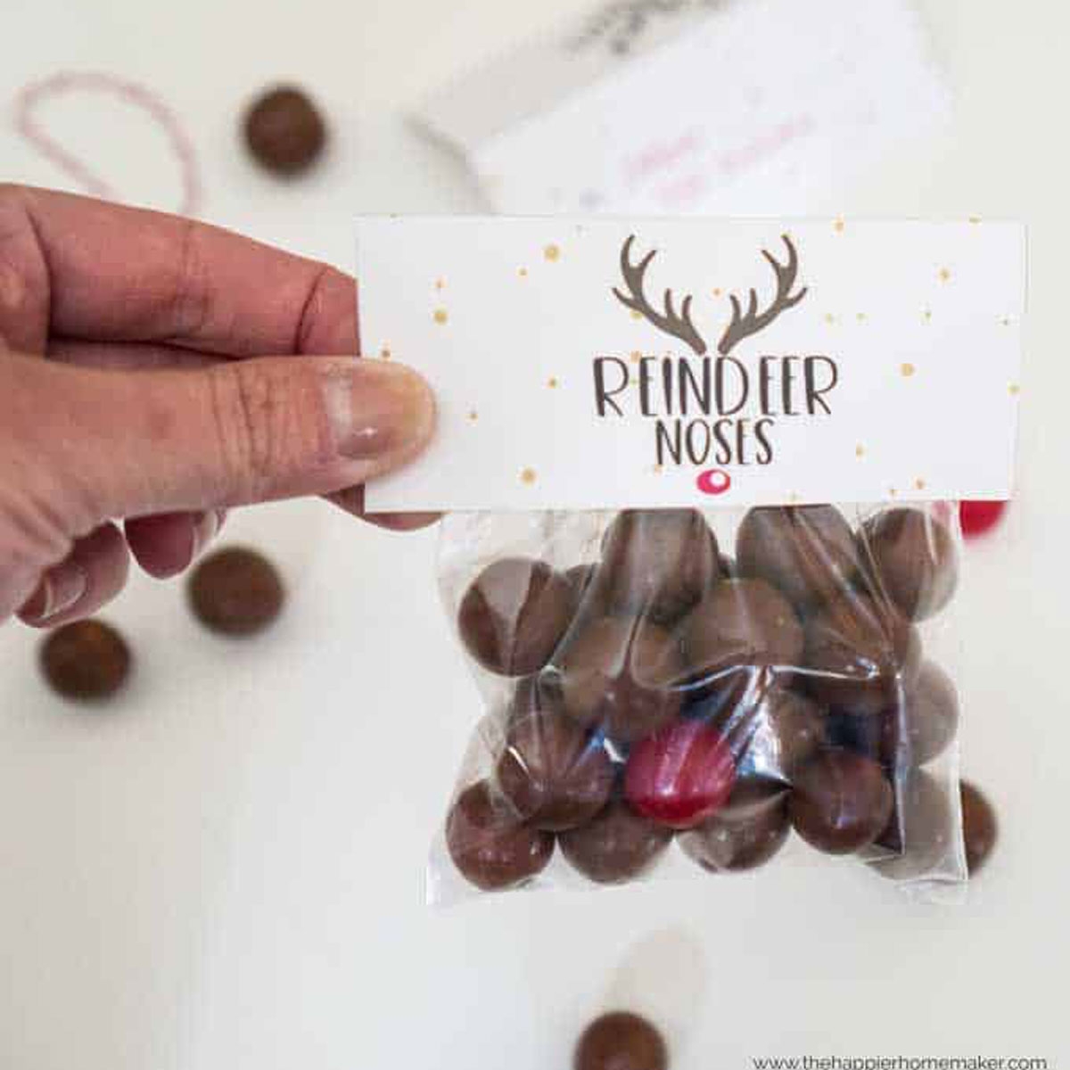 Reindeer Nose Gift With Free Printable Tags South Georgia Style Reindeer Nose Gift With Free Printable Tags South Georgia Style