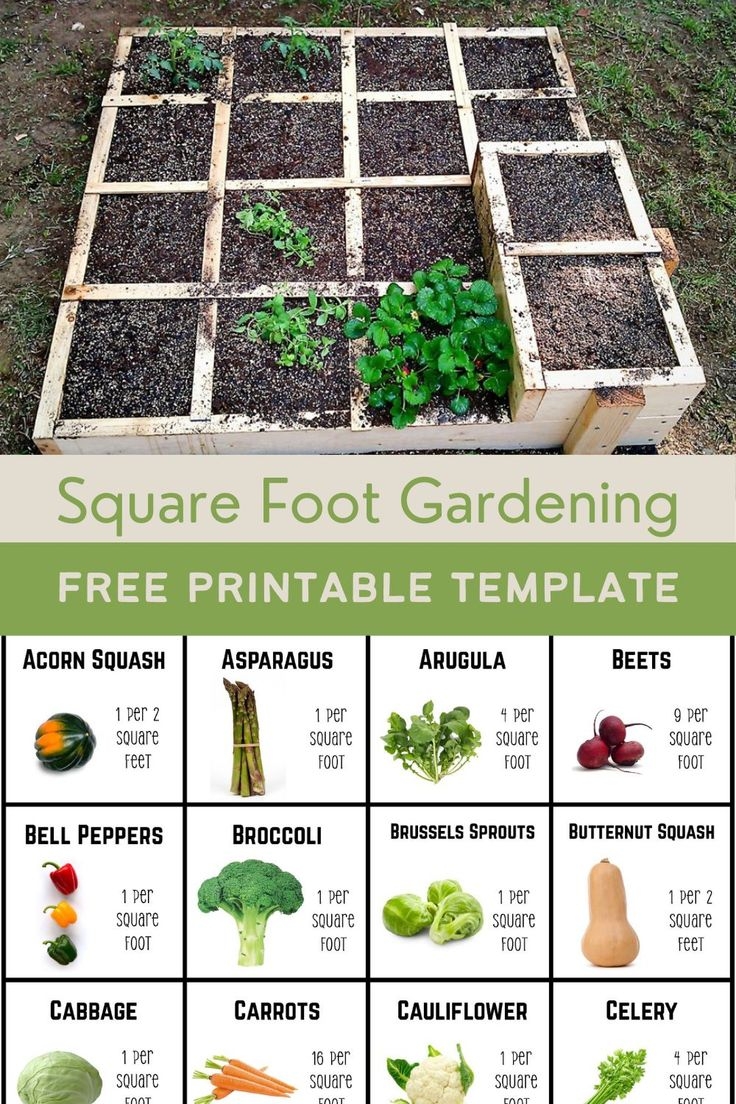 Square Foot Garden And Free Printable Template Pin For Pinterest