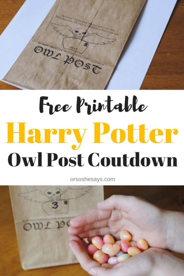 Surprise Universal Studios Trip Reveal Idea Harry Potter Owl Post 