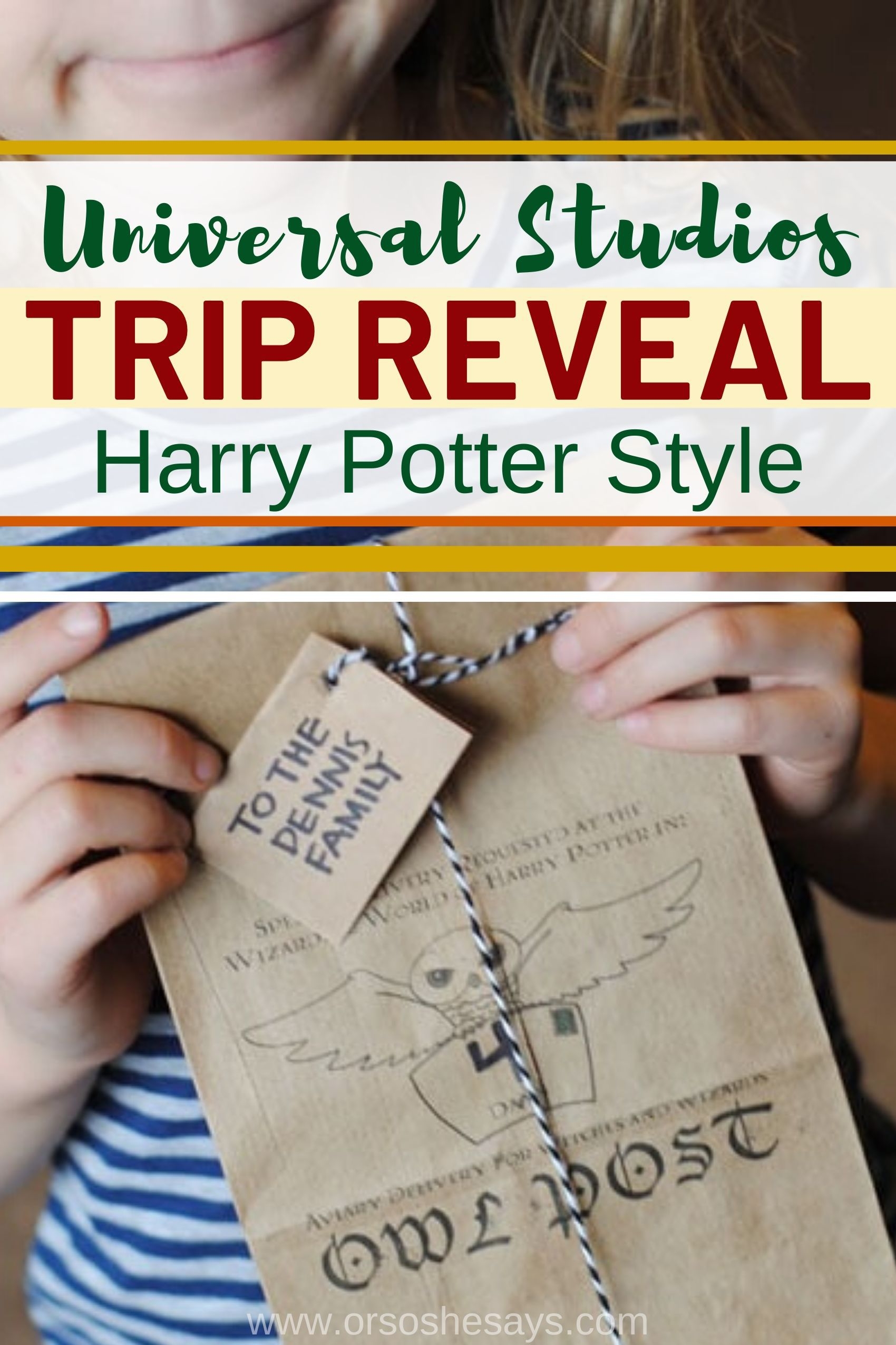 Surprise Universal Studios Trip Reveal Idea Harry Potter Owl Post